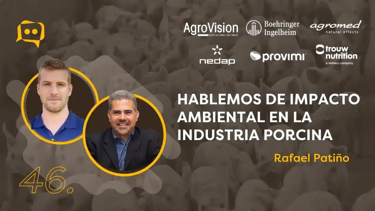 Impacto ambiental de la industria porcina y estrategias de mitigación.
