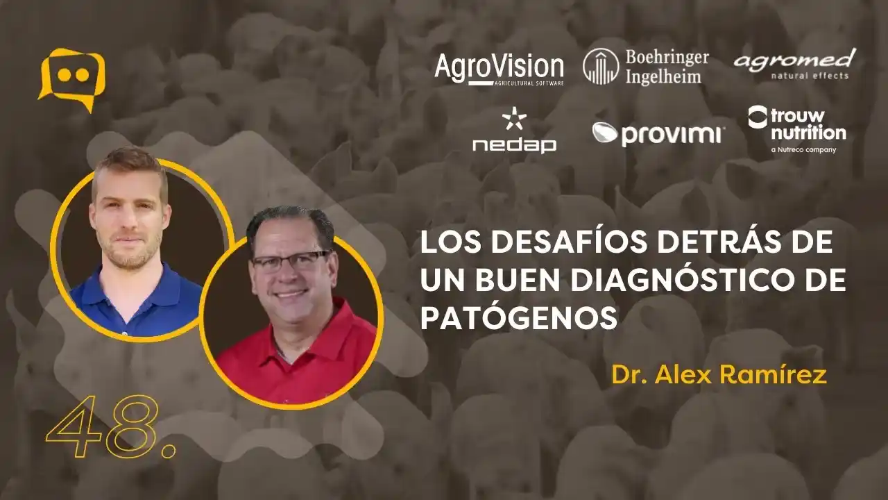 Desafíos en el diagnóstico de patógenos en la producción porcina según el Dr. Alex Ramírez.