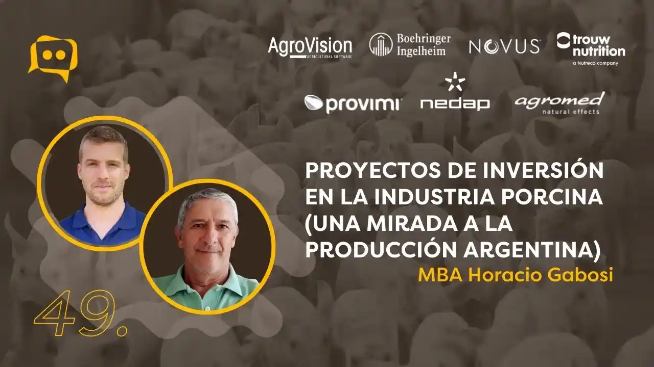 Proyectos de inversión en la industria porcina argentina.