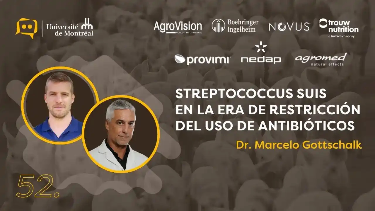 Streptococcus suis y su control en escenarios de restricción antibiótica.