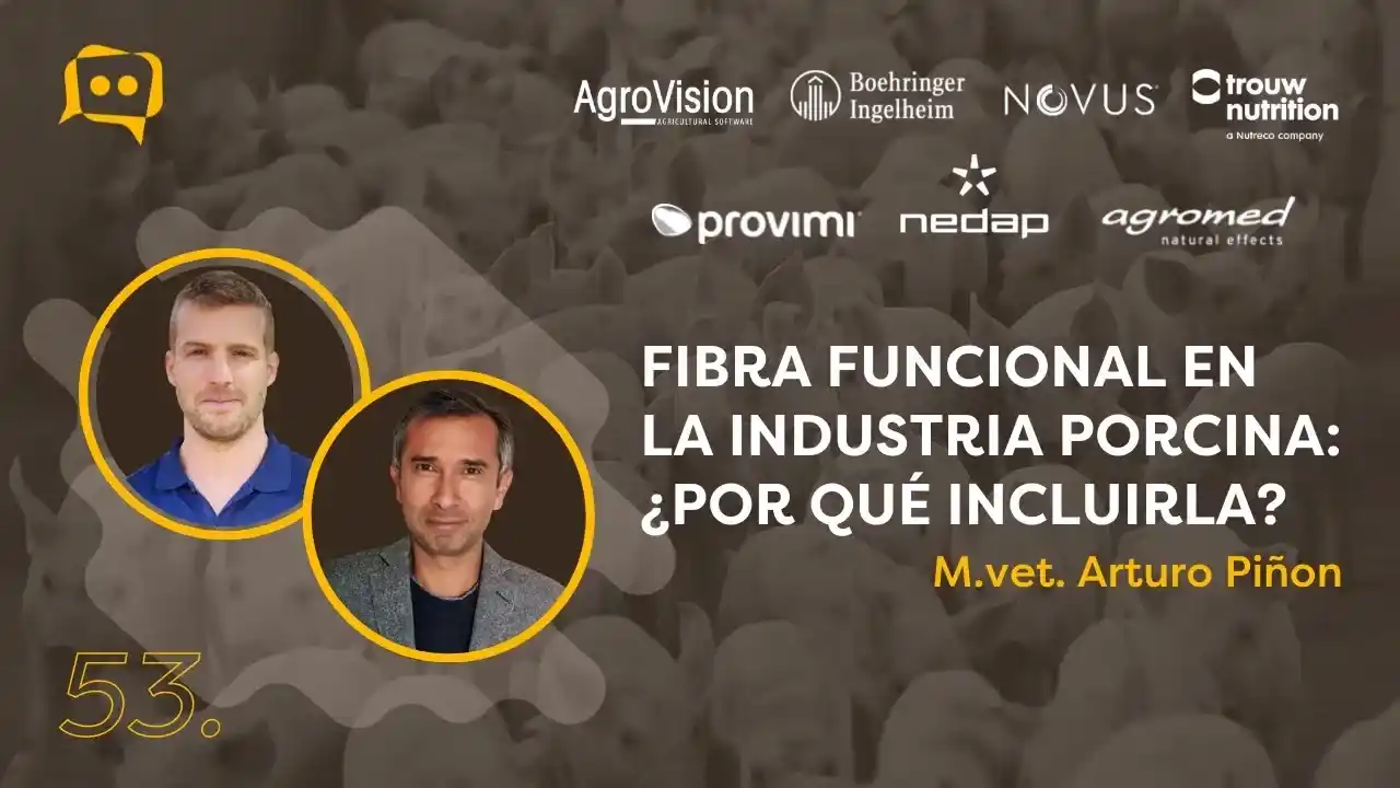 Fibra funcional en la nutrición porcina y sus beneficios productivos.