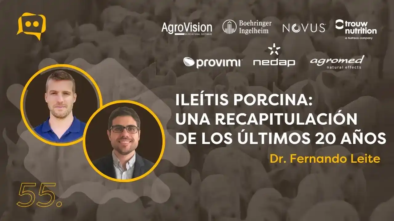 Ileítis porcina y evolución del conocimiento en los últimos 20 años - Dr. Fernando Leite.