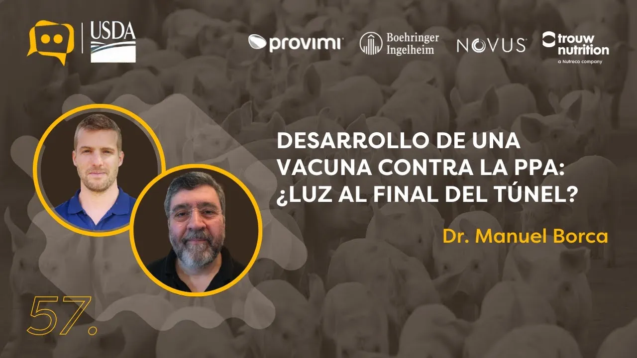 Vacuna contra la Peste Porcina Africana y avances científicos explicados por el Dr. Manuel Borca.