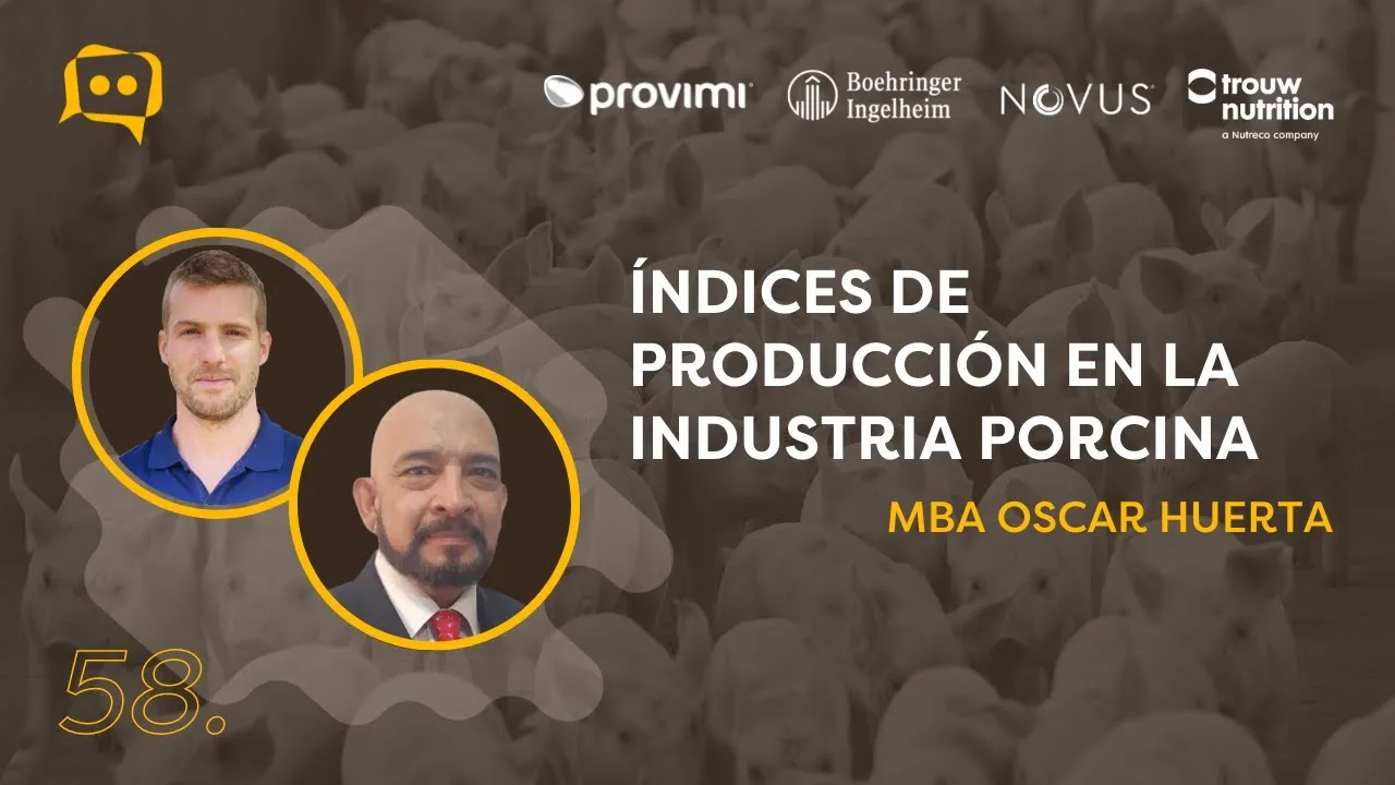 Índices de producción y eficiencia en la industria porcina según Oscar Huerta.