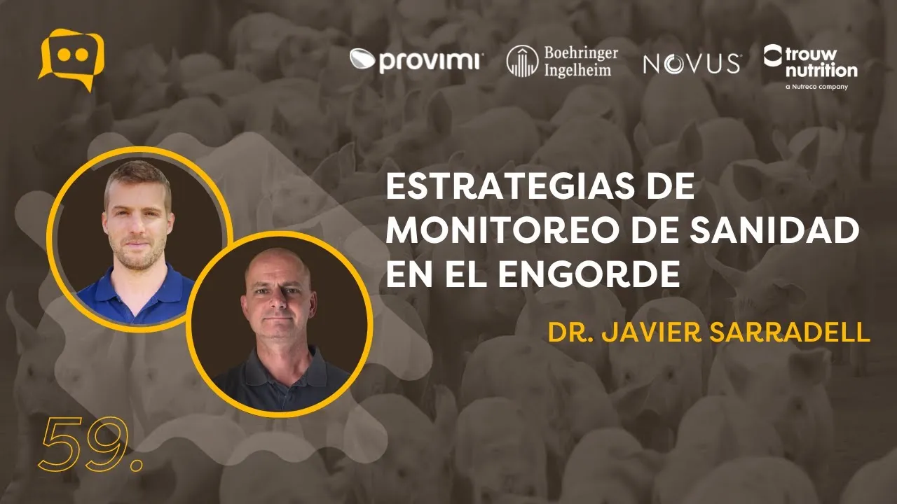 Monitoreo sanitario en la etapa de engorde porcino según el Dr. Javier Sarradell.
