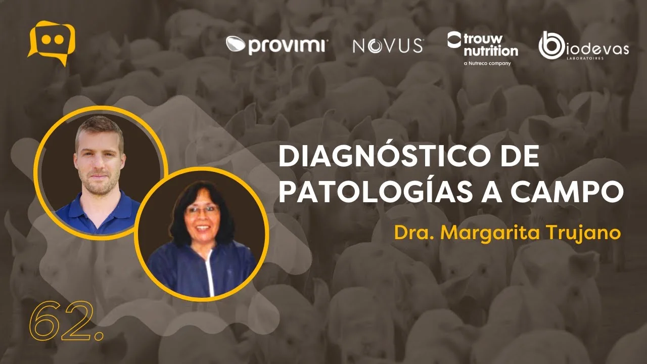 Diagnóstico de patologías porcinas a campo explicado por la Dra. Margarita Trujano.