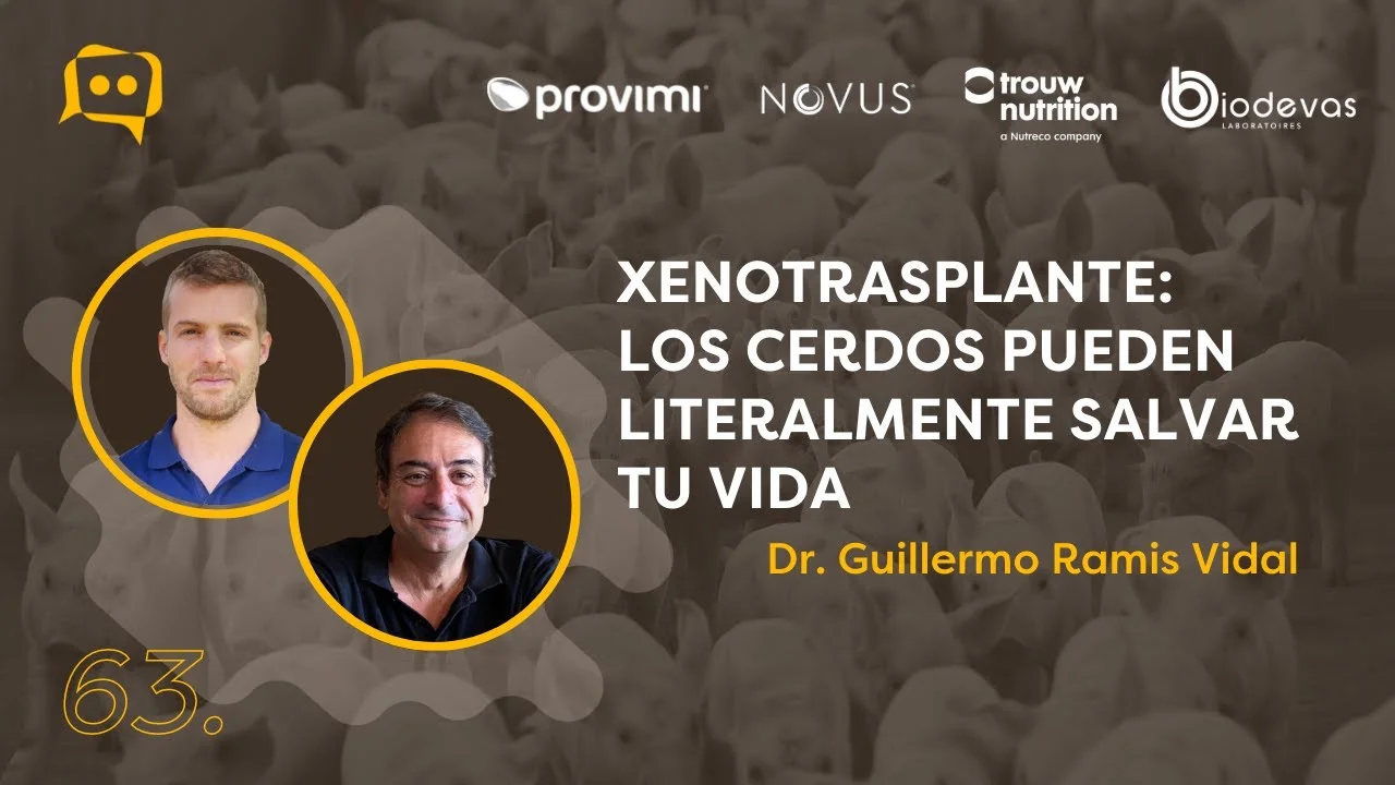 Xenotrasplantes y el rol de los cerdos en la medicina moderna según el Dr. Guillermo Ramis.