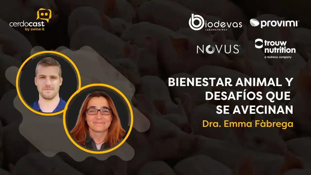 Bienestar animal en porcicultura y desafíos futuros según la Dra. Emma Fàbrega.
