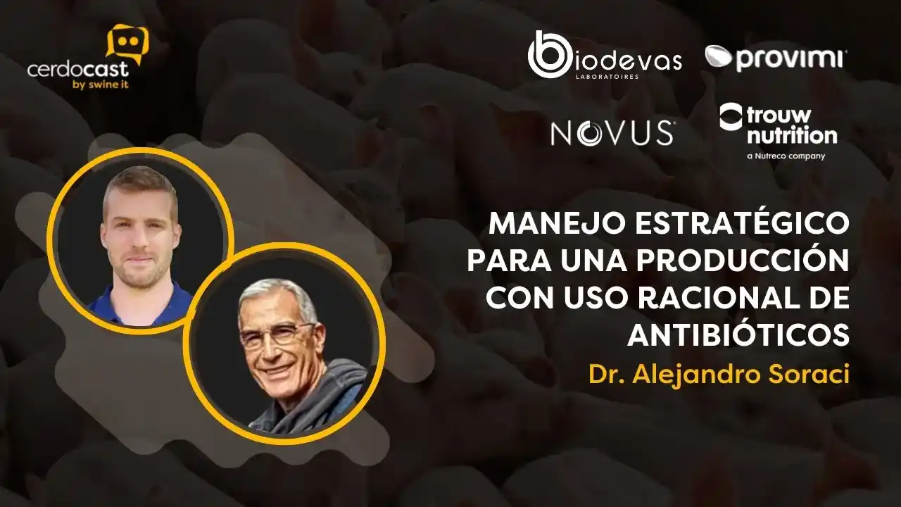 Este episodio aborda las principales enfermedades emergentes en la industria porcina, su impacto sanitario y productivo, y la importancia de la vigilancia epidemiológica, el diagnóstico temprano y las estrategias de prevención para reducir riesgos en las granjas.