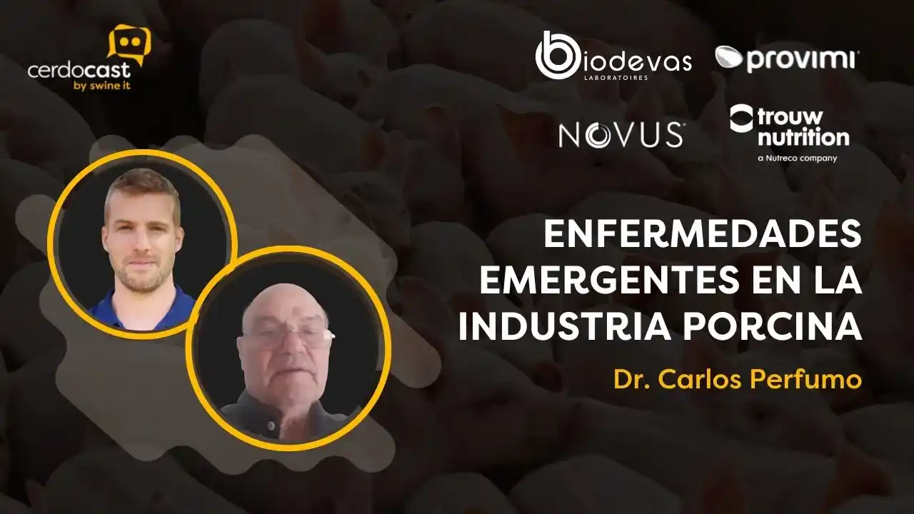 Enfermedades emergentes en la industria porcina explicadas por el Dr. Carlos Perfumo.
