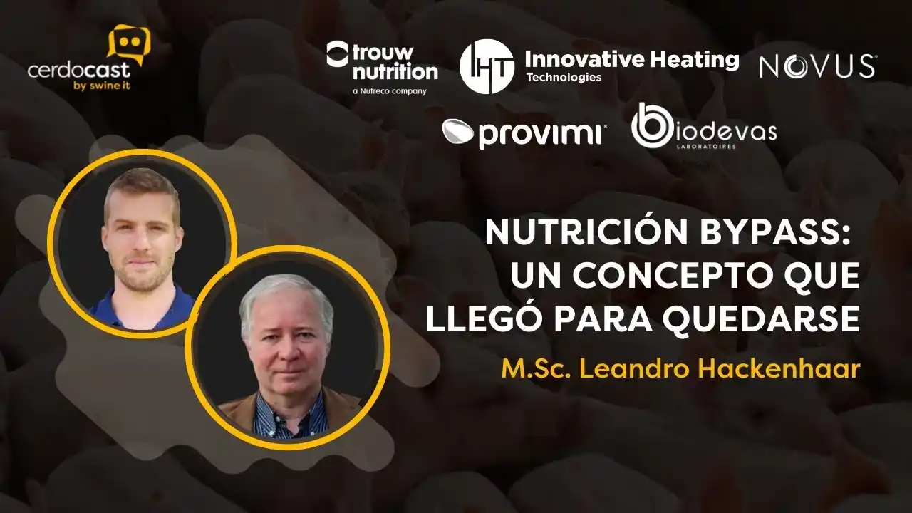 Nutrición Bypass en porcicultura - M.Sc. Leandro Hackenhaar.