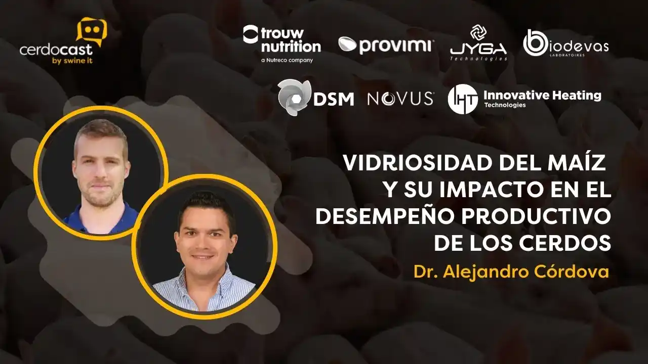 Vidriosidad del maíz y su impacto en la producción porcina - Dr. Alejandro Córdova.