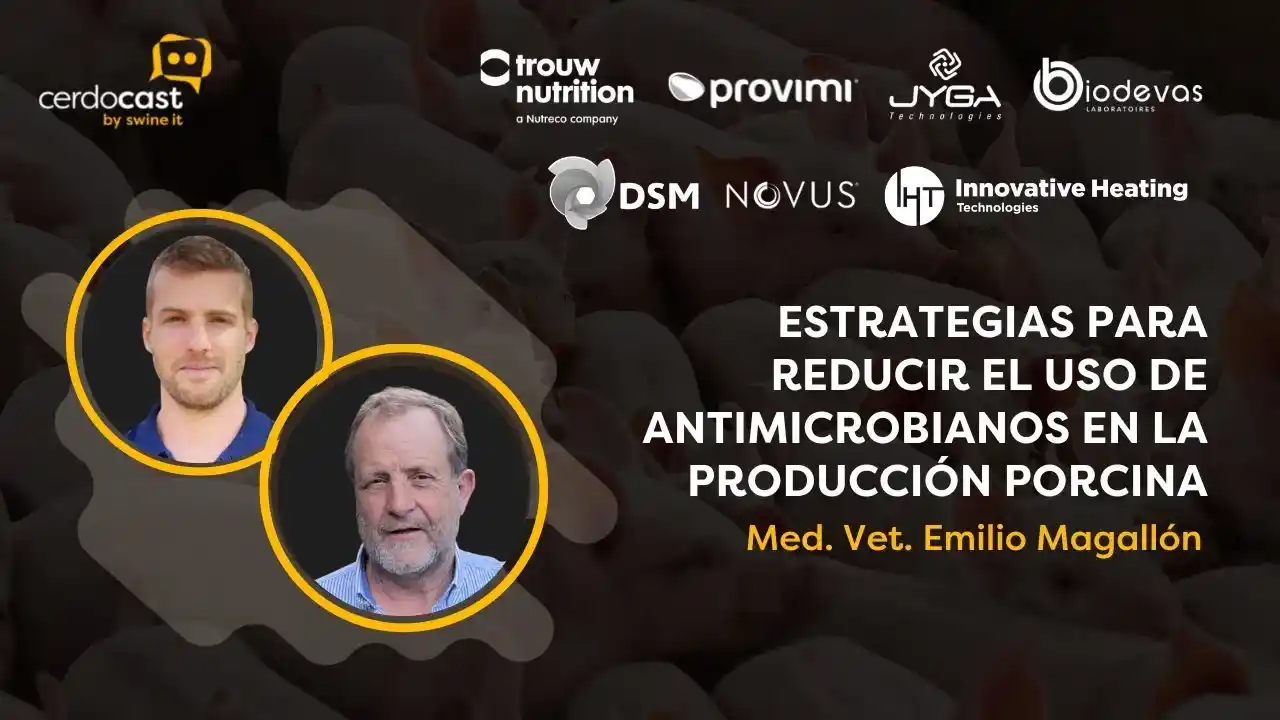 Reducción del uso de antimicrobianos en la producción porcina - Dr. Emilio Magallón.