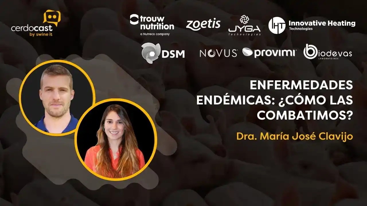 Enfermedades endémicas en la porcicultura: estrategias de combate - Dra. María José Clavijo.