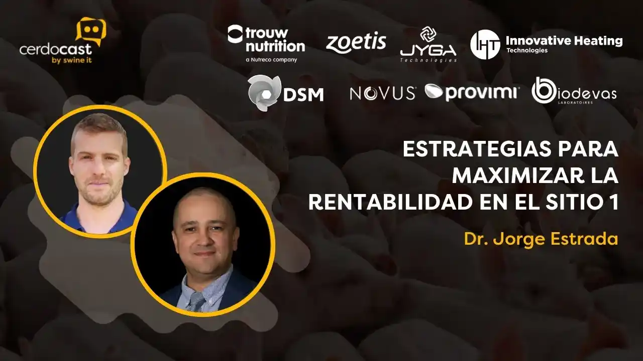 Maximización de la rentabilidad en el sitio 1 - Dr. Jorge Estrada.