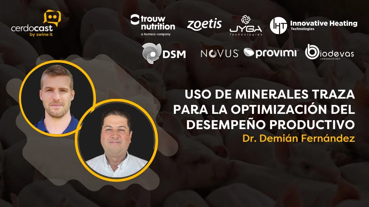 Uso de minerales traza para optimizar el desempeño productivo en cerdos - Dr. Demián Fernández.