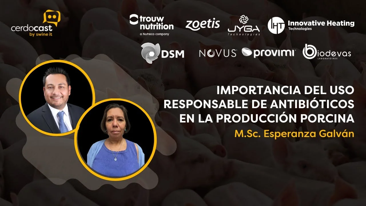 Uso responsable de antibióticos en la producción porcina - M.Sc. Esperanza Galván.