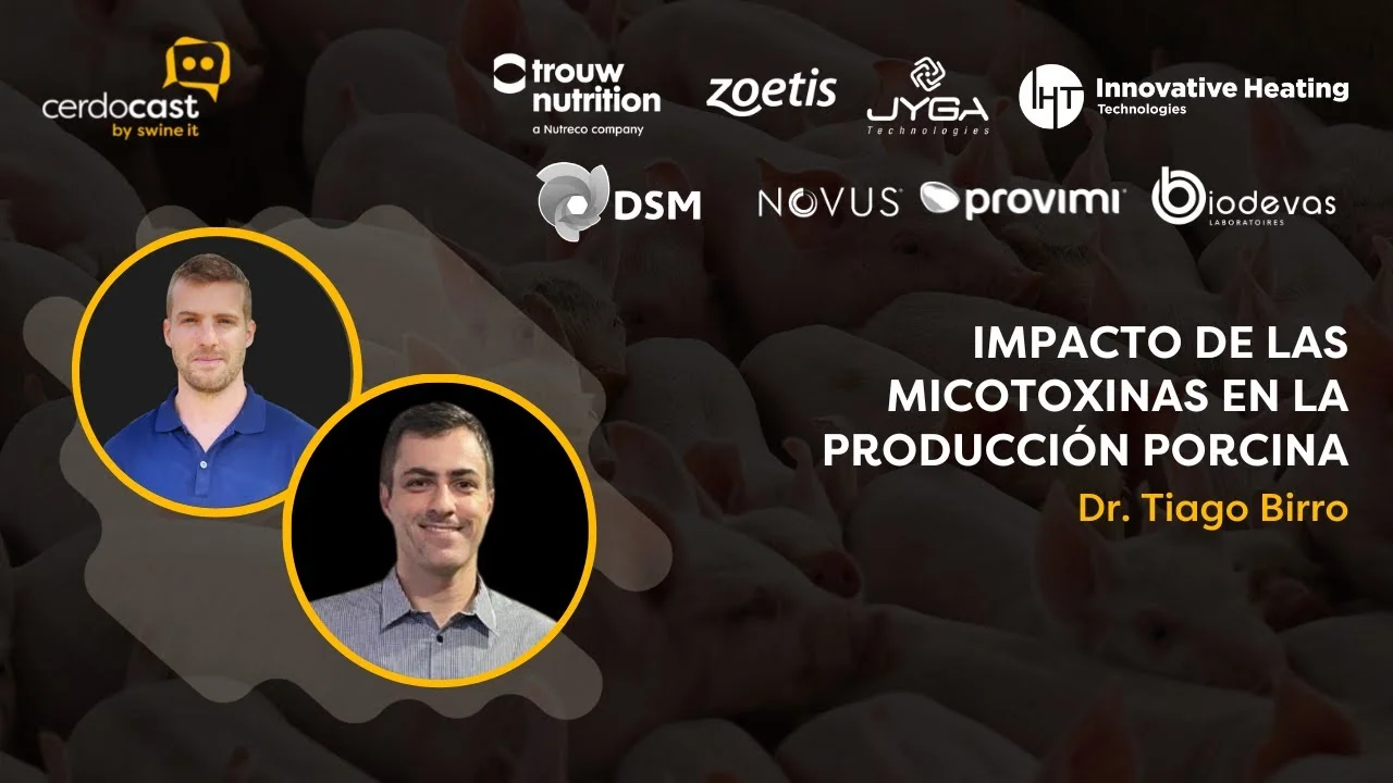 Impacto de las micotoxinas en la producción porcina - Ph.D. Tiago Birro.