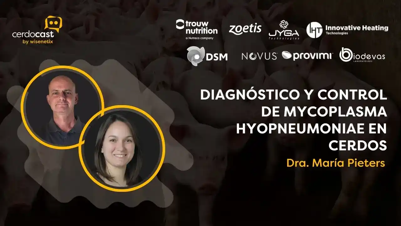 Diagnóstico y control de Mycoplasma hyopneumoniae en cerdos - Dra. Maria Pieters.