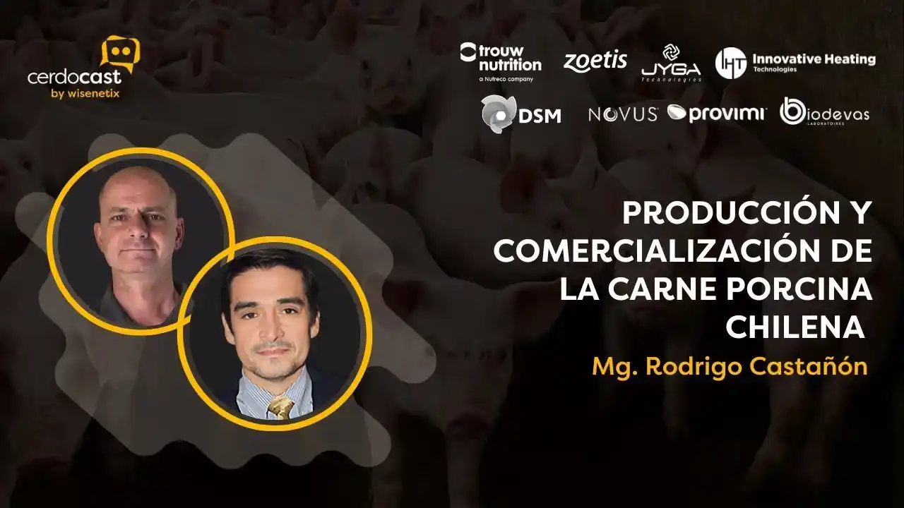 Producción y comercialización de la carne porcina chilena - Dr. Rodrigo Castañón.