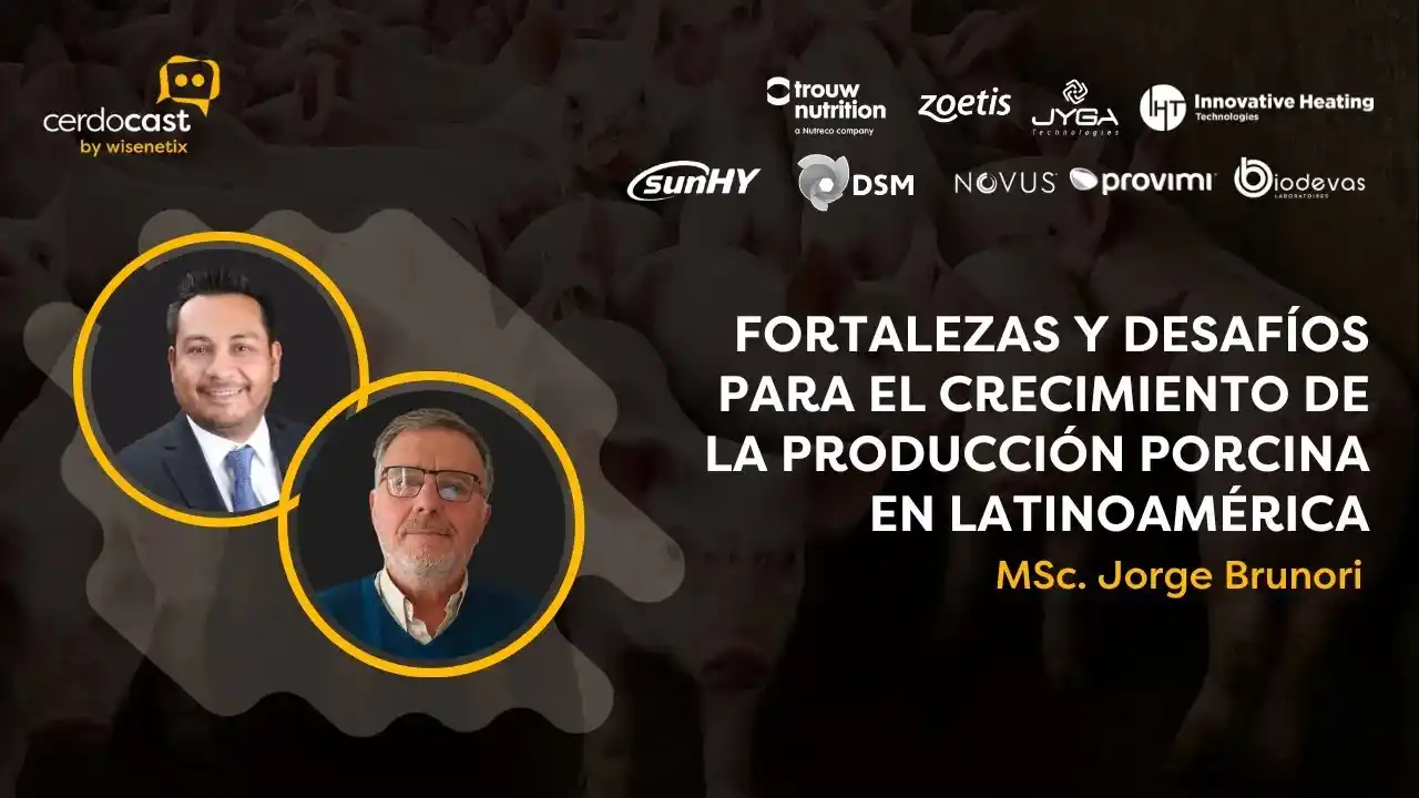 Fortalezas y desafíos del crecimiento de la producción porcina en Latinoamérica.