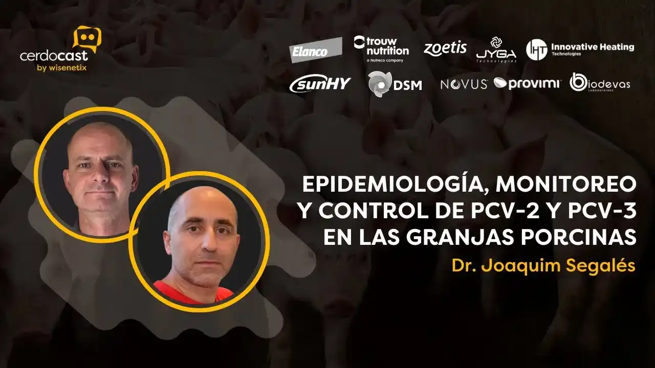Monitoreo y control de PCV2 y PCV3 en granjas porcinas - Dr. Joaquim Segalés.
