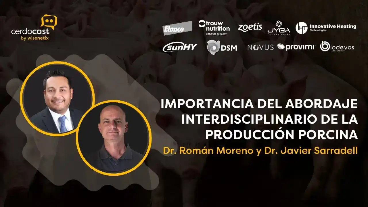 Abordaje interdisciplinario en la producción porcina.