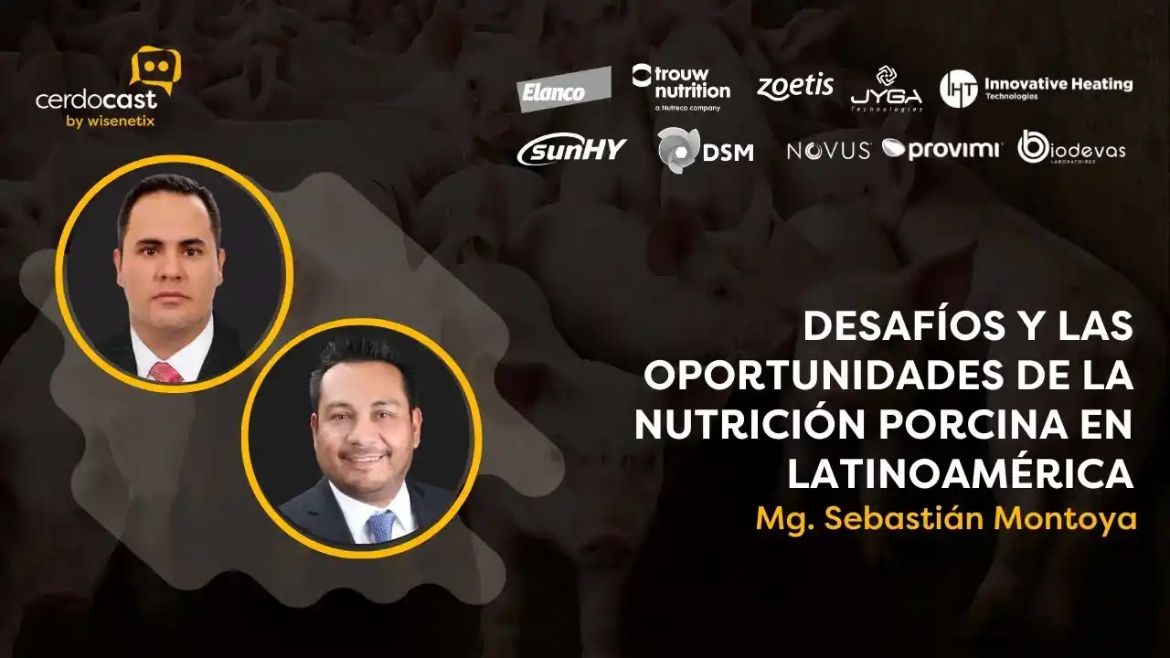 Desafíos y oportunidades de la nutrición porcina en Latinoamérica - Mg. Sebastián Montoya.