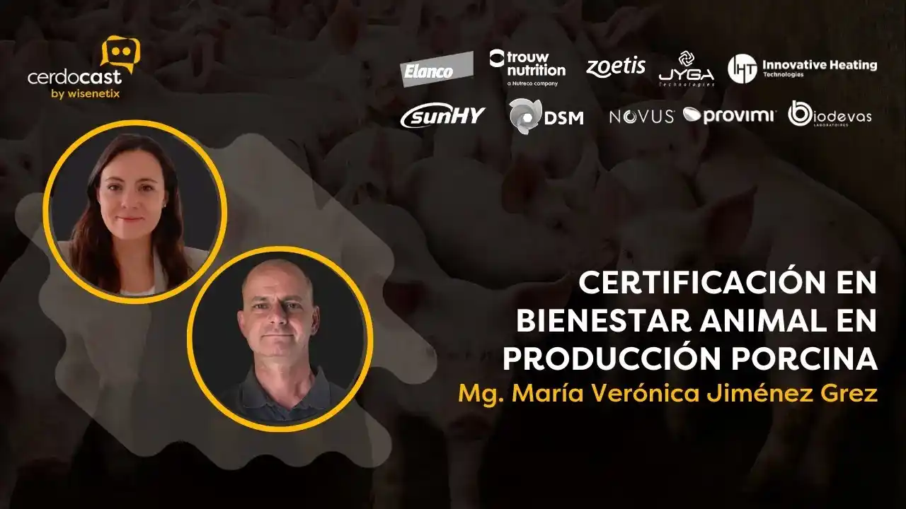 Certificación en Bienestar Animal en la producción porcina - Mg. María Verónica Jiménez Grez.