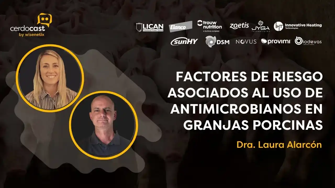 Riesgos del uso de antimicrobianos en granjas porcinas - Dr. Laura Alarcón.