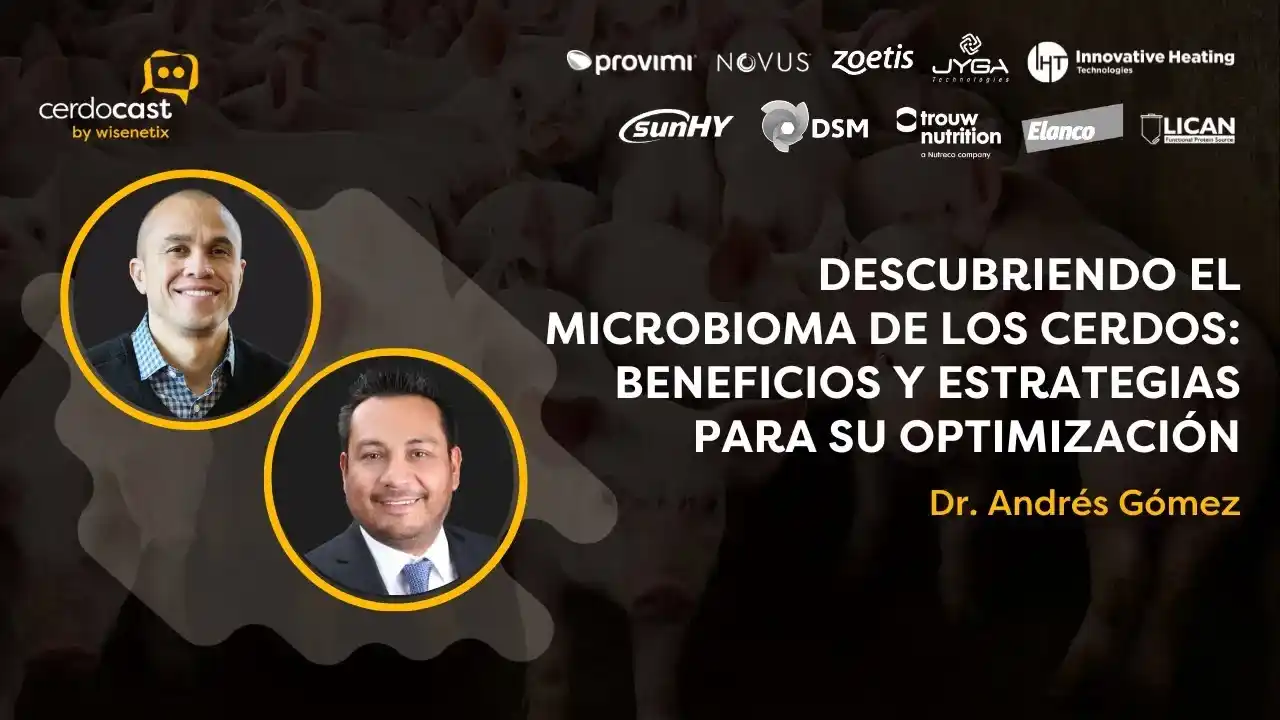 Microbioma de los cerdos: beneficios y estrategias de optimización.