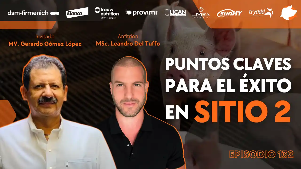 Claves para el éxito en sitio 2 en producción porcina - MV. Gerardo Gómez López.