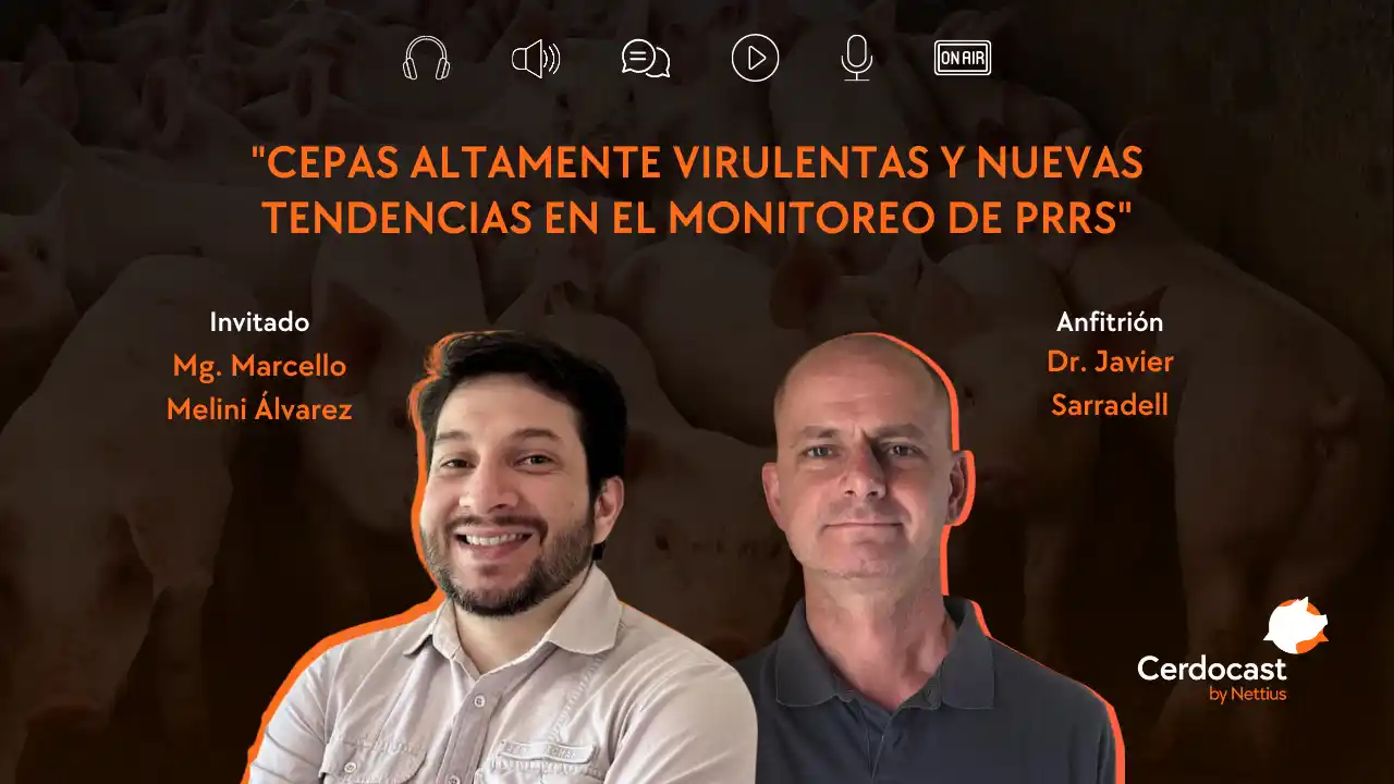Cepas virulentas de PRRS y monitoreo de la enfermedad - Mg. Marcello Melini Álvarez.