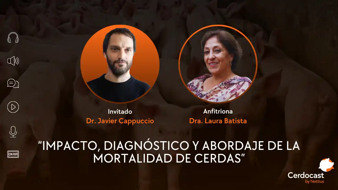 Impacto, diagnóstico y abordaje de la mortalidad de cerdas - Dr. Javier Cappuccio.