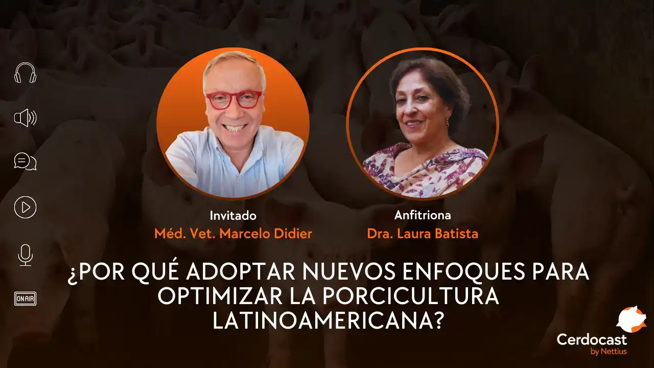 Nuevos enfoques para optimizar la porcicultura latinoamericana.