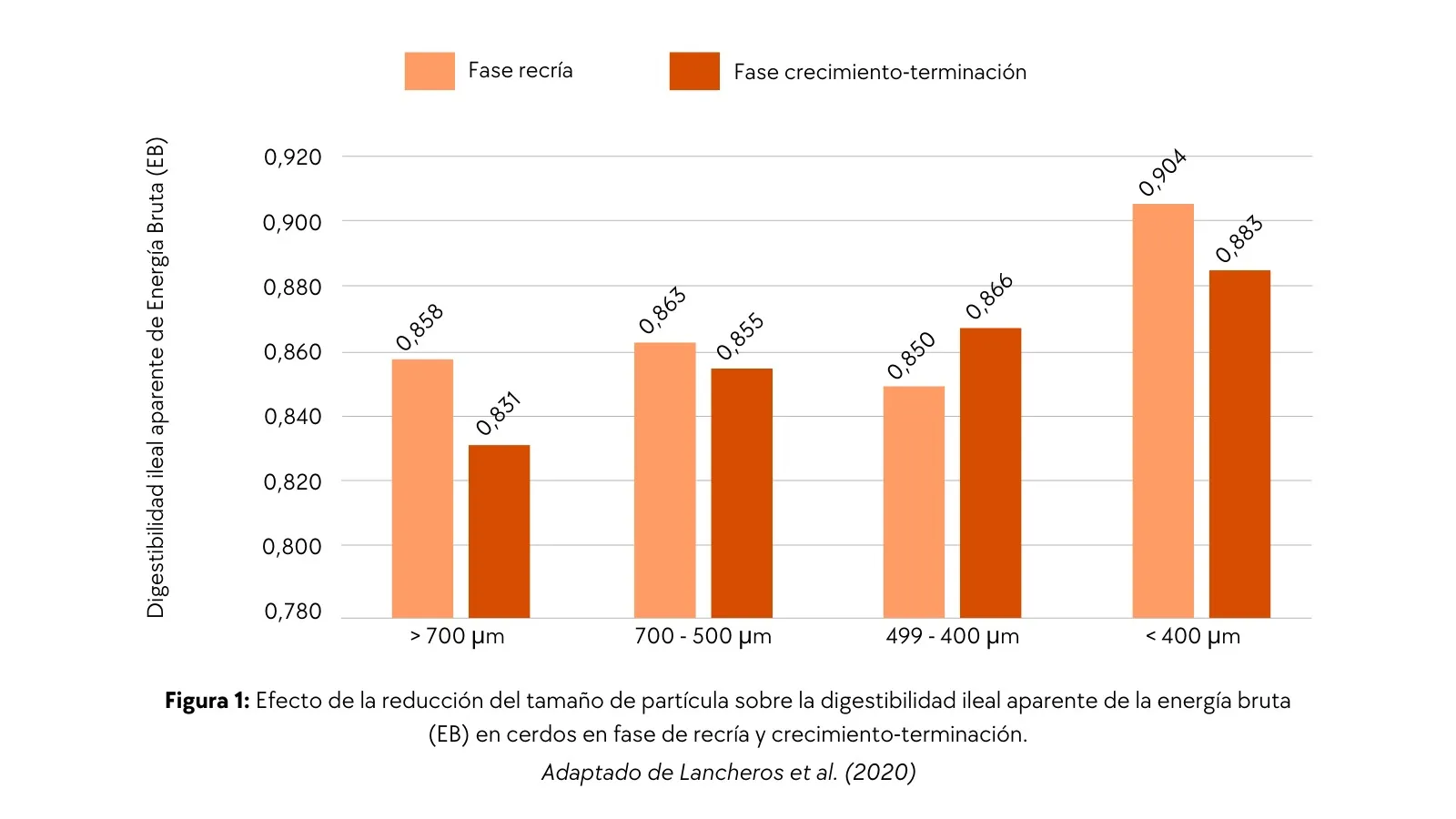 Efecto del tamaño de partícula sobre la digestibilidad de la energía en cerdos.
