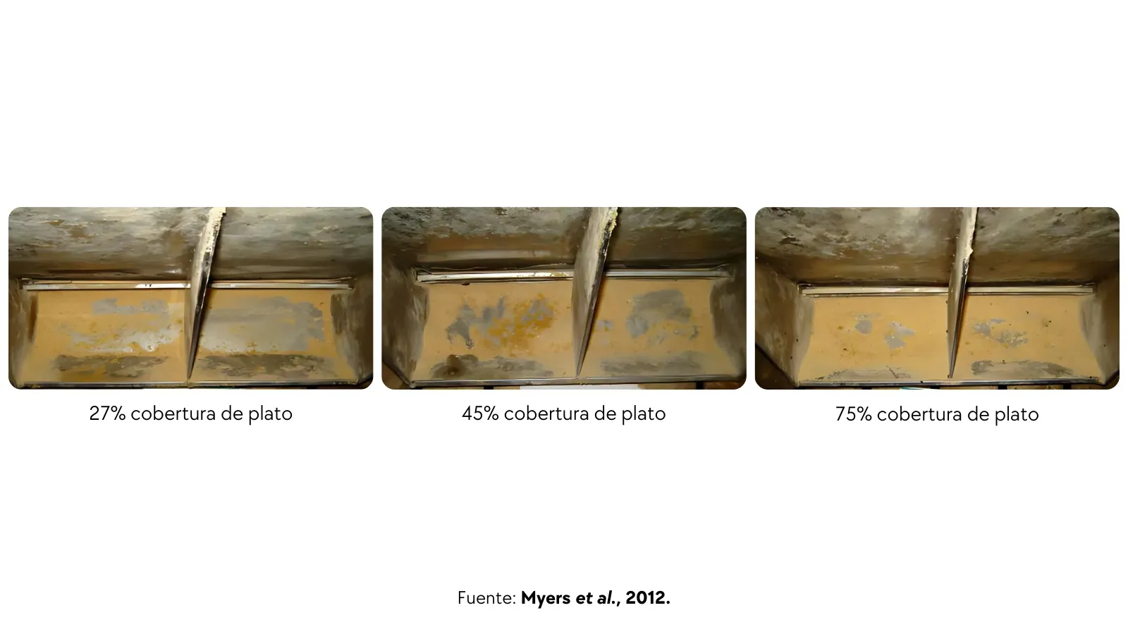 Efecto de factores nutricionales y de manejo en GDP, CDR e ICA.