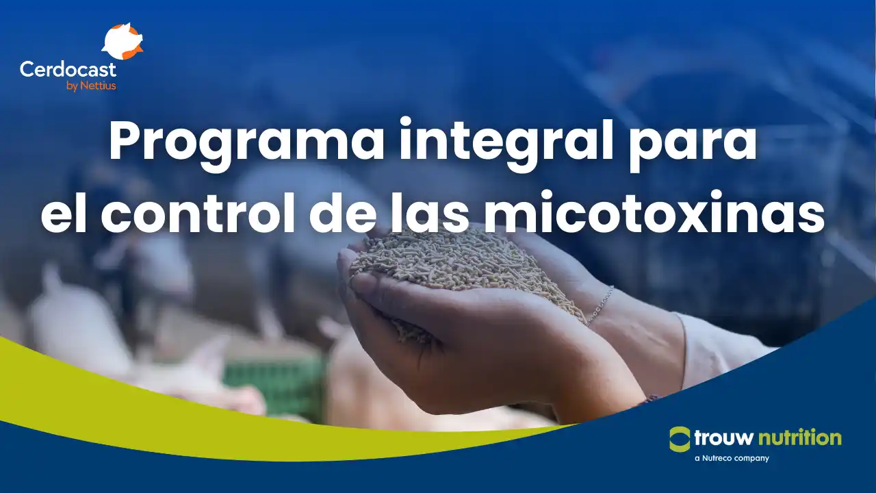 Control integral de micotoxinas en la producción animal.