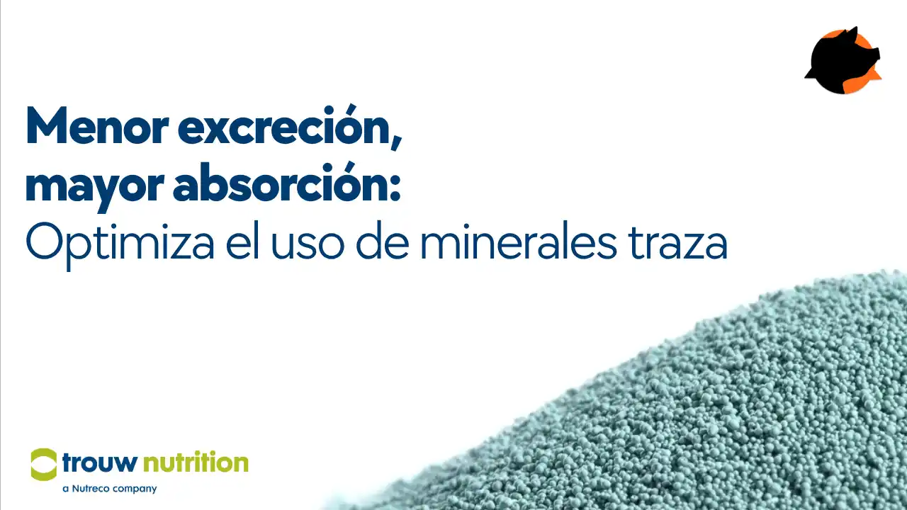 Hidroximinerales traza para nutrición porcina eficiente.