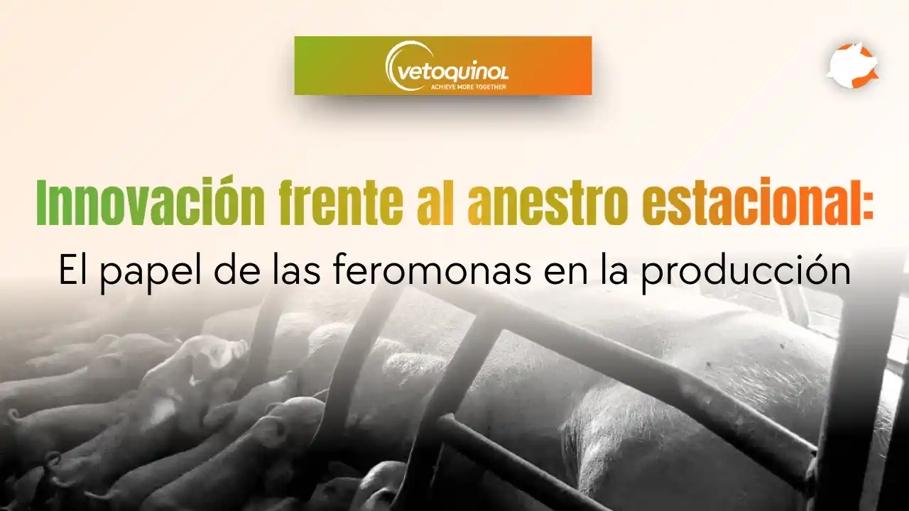 Innovación en el control del anestro estacional con feromonas.
