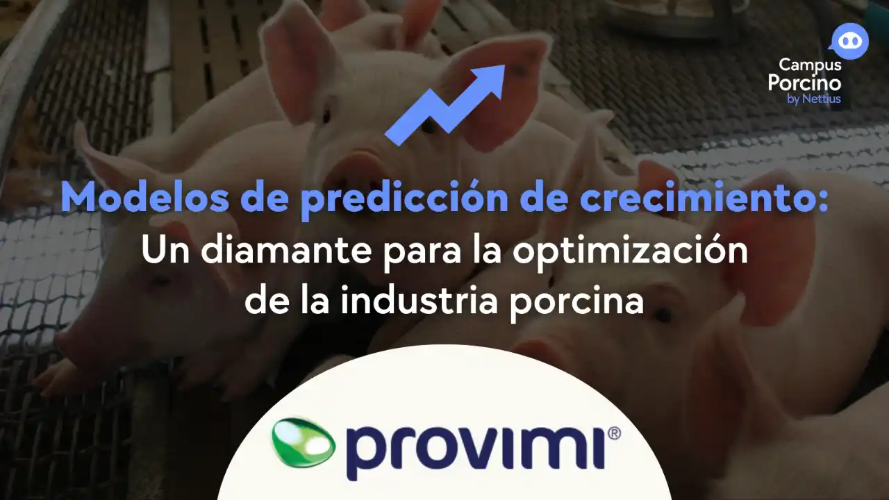 Modelos de predicción de crecimiento aplicados a la porcicultura.