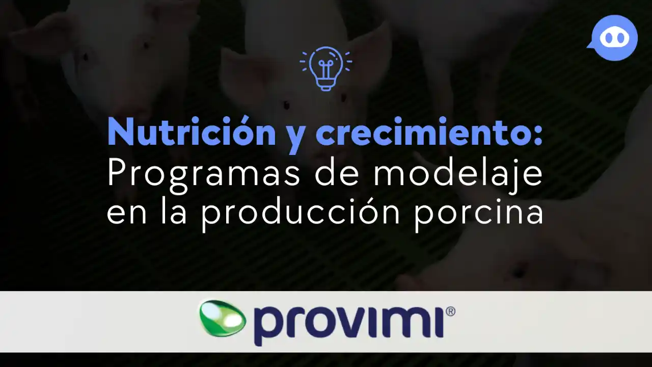 Programas de modelaje nutricional aplicados al crecimiento porcino.