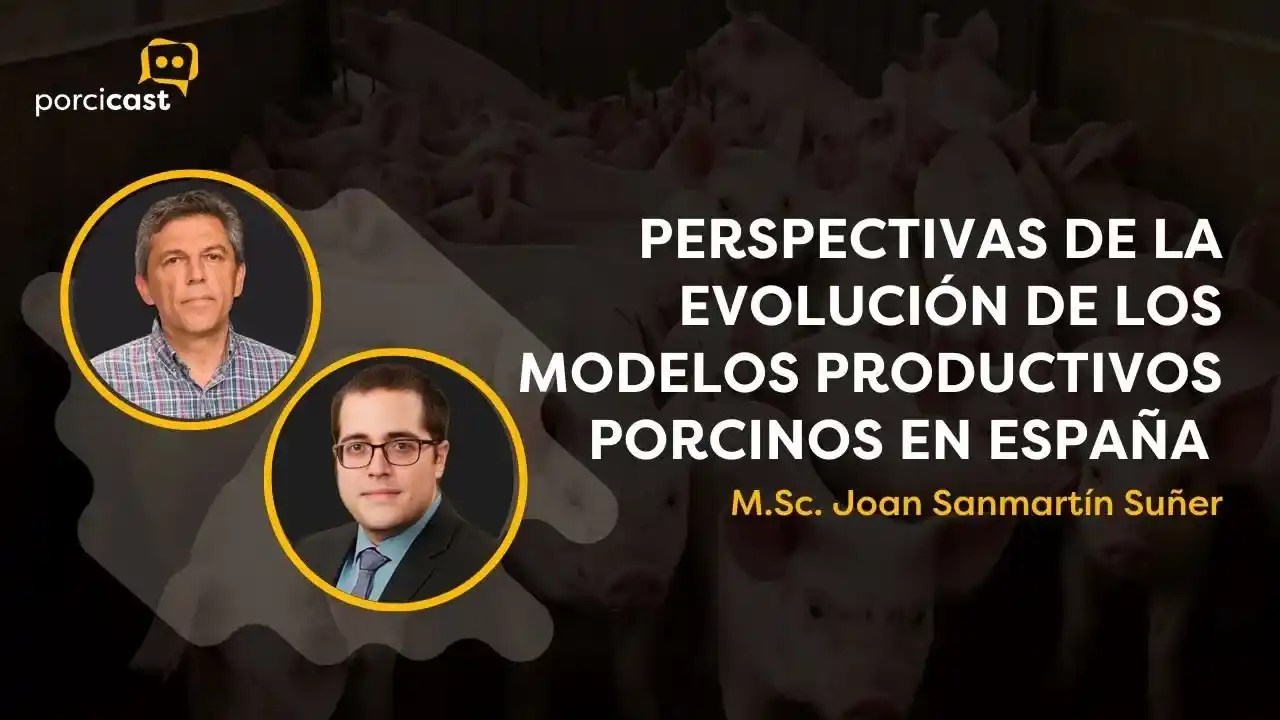 Evolución de los modelos productivos porcinos en España y sus perspectivas futuras.