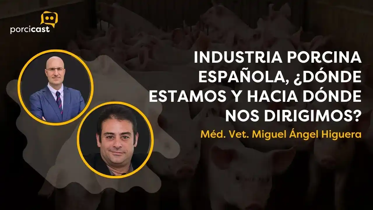Situación actual y futuro de la industria porcina española.