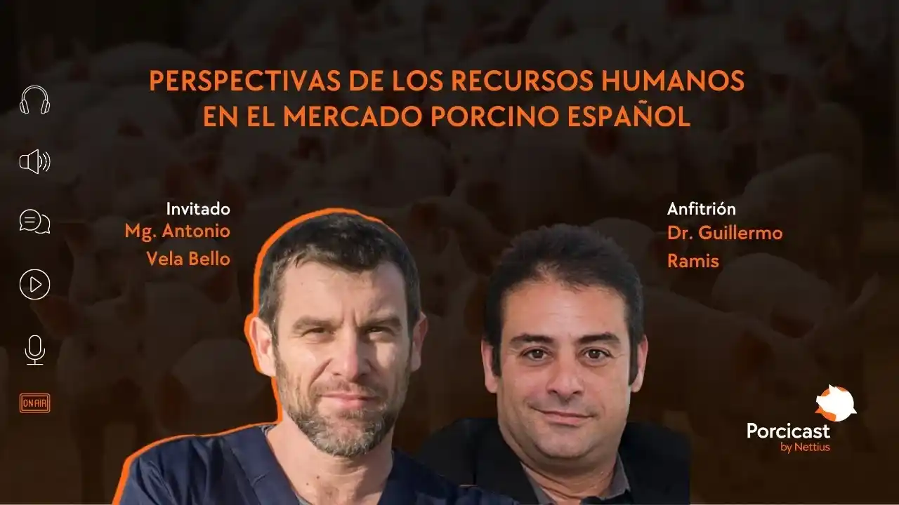 Recursos humanos y desafíos laborales en el mercado porcino español.