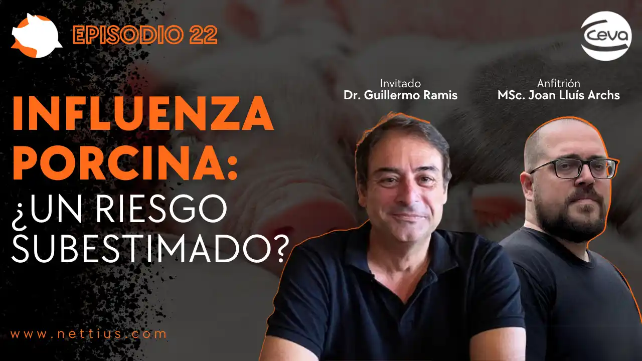 Influenza porcina y su riesgo sanitario en la producción porcina.