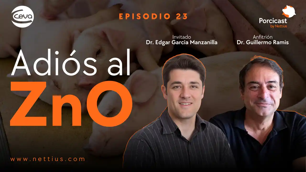 Retiro del ZnO en producción porcina y puntos clave de implementación.