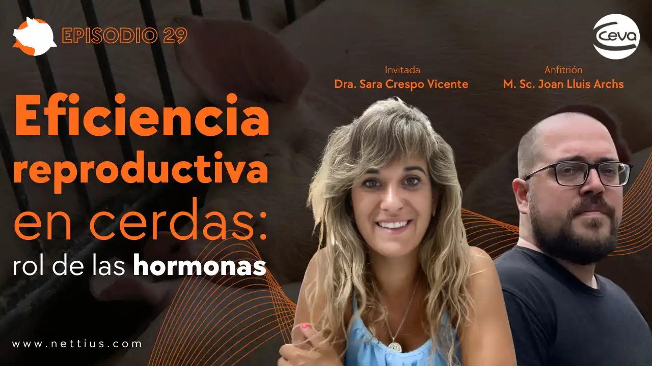 Eficiencia reproductiva en cerdas y rol de las hormonas según la Dra. Sara Crespo Vicente.