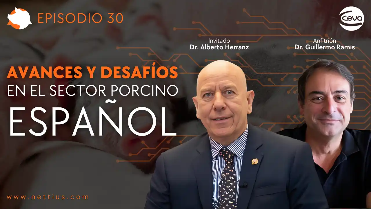 Avances y desafíos del sector porcino español analizados por el Dr. Alberto Herranz.