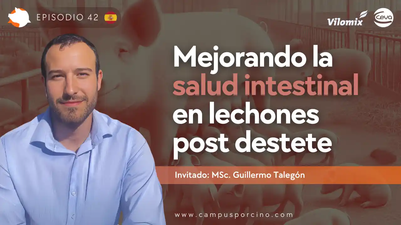 Salud intestinal en lechones post destete - M.Sc. Guillermo Talegón.